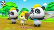 Baby Panda Goes for a Picnic | Love Drinking Water | Kids Good Habits | BabyBus