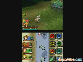 Final Fantasy Crystal Chronicles : Ring of Fates : Forêt