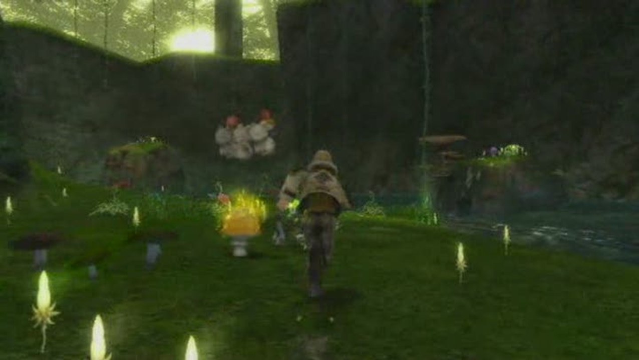 Final Fantasy Crystal Chronicles : The Crystal Bearers : Mogs et champignons