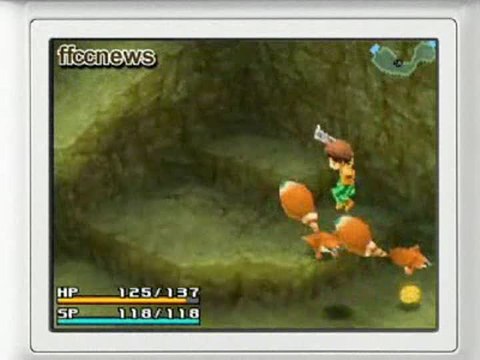 Final Fantasy Crystal Chronicles : Ring of Fates : Fox Killer