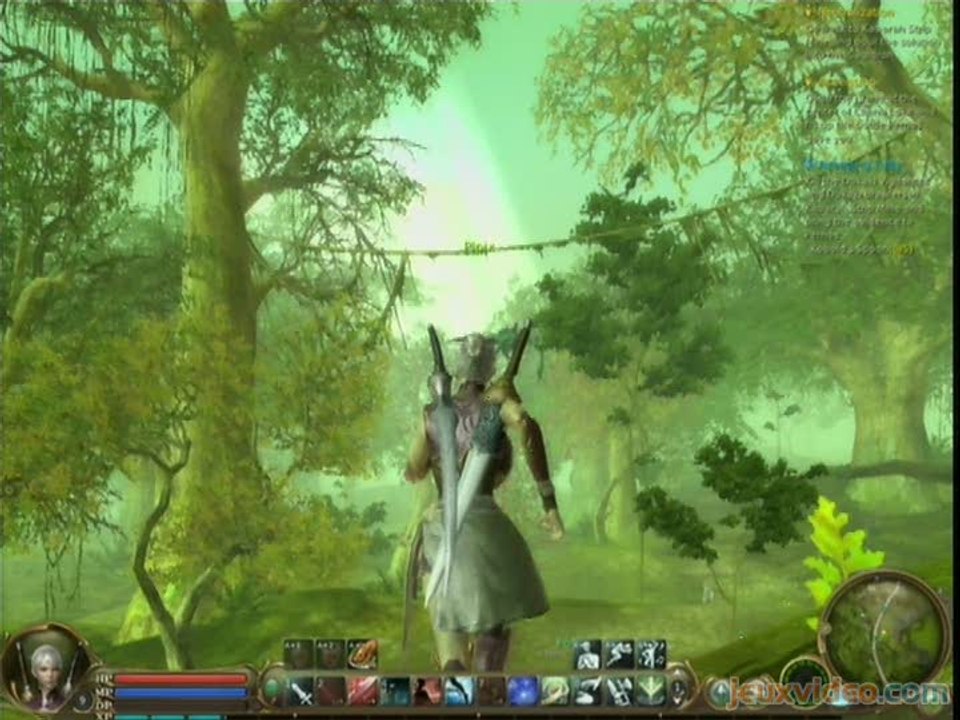 Aion : 2/3 : Promenons-nous dans les bois...