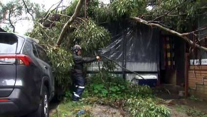 NSW SES receives over 200 calls in Greater Sydney after heavy rainfalls