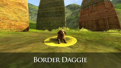 Aion : Bonus de précommande - familiers : Panda et Chien