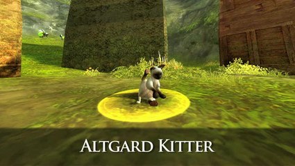 Aion : Bonus de précommande - familiers : Panda et Chat