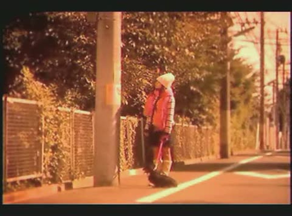 Eledees : Pub japonaise