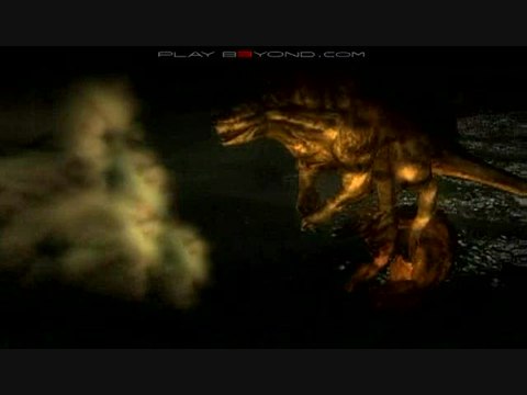 Lair : Lâcher de taureau