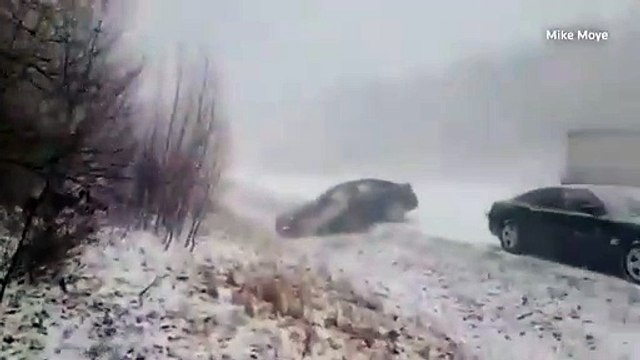Video: al menos 50 vehículos involucrados en un accidente en Estados Unidos