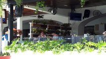 Sector restaurantero aporta a la promoción de Puerto Vallarta | CPS Noticias Puerto Vallarta
