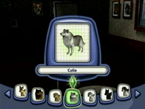 Les Sims 2 : Animaux & Cie : Présentation du jeu