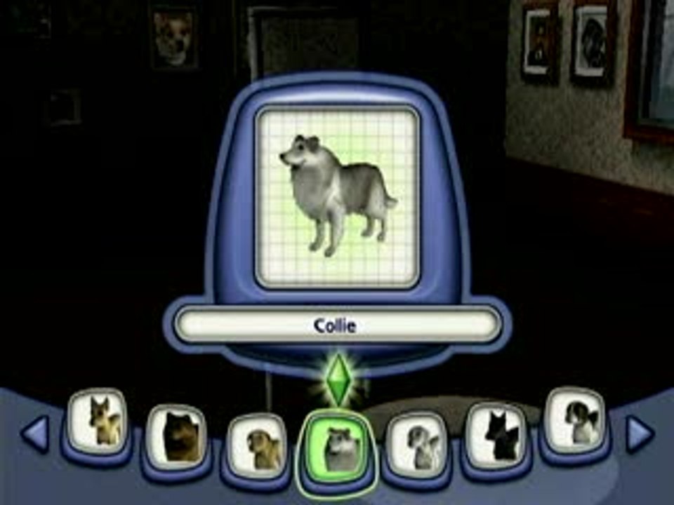 Les Sims 2 : Animaux & Cie : Présentation du jeu