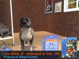 Les Sims 2 : Animaux & Cie : éditeur de toutous