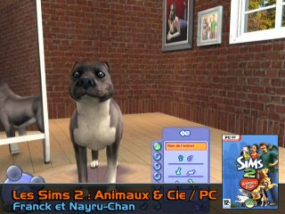 Download Video: Les Sims 2 : Animaux & Cie : éditeur de toutous