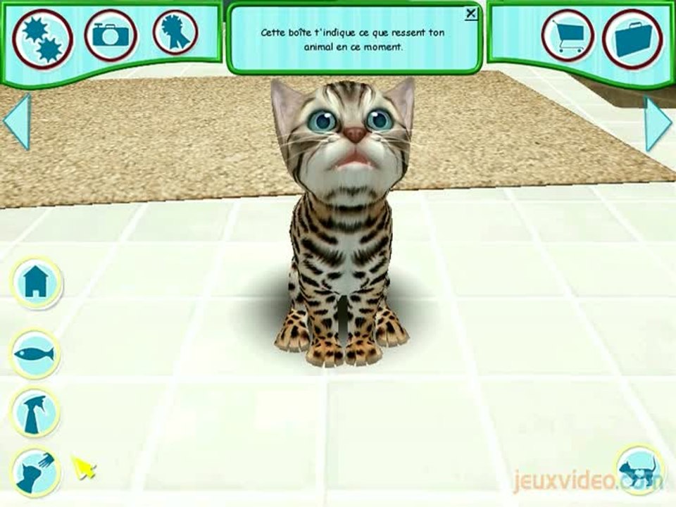Catz : La vie de CHATeau