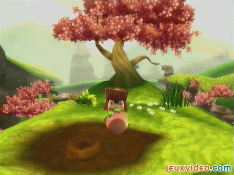 LostWinds : Graines et tubercules