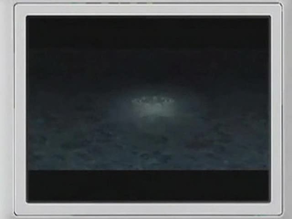 Final Fantasy XII : Revenant Wings : Fleurs magiques