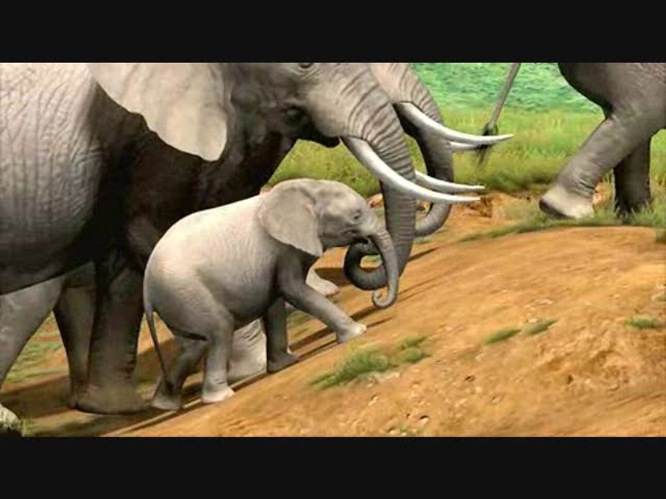 Afrika : Trailer TGS 2006