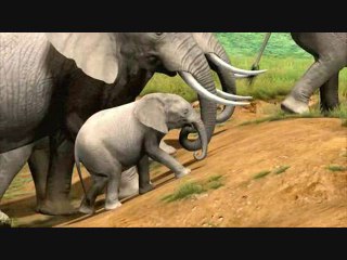 Afrika : Trailer TGS 2006