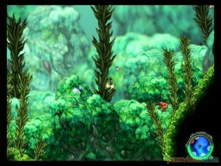 Aquaria : Musique : Open Waters