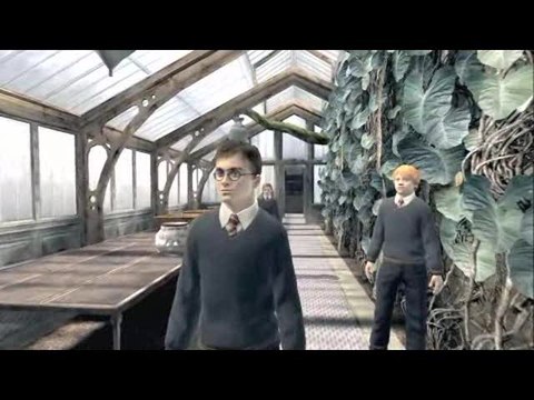 Harry Potter et l'Ordre du Phénix : Premier aperçu