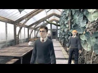 Harry Potter et l'Ordre du Phénix : Premier aperçu