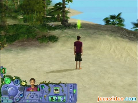 Les Sims : Histoires de Naufragés : Une plage pas si déserte que ça