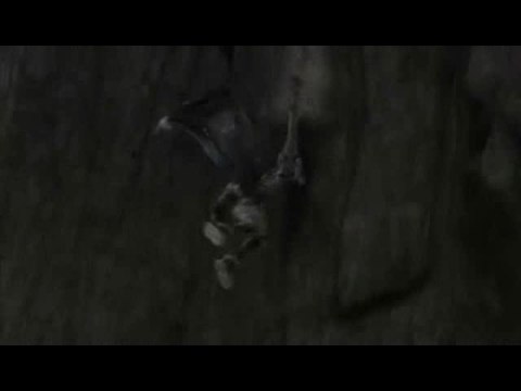 Kingdom Hearts II Final Mix+ : Combat d'anthologie