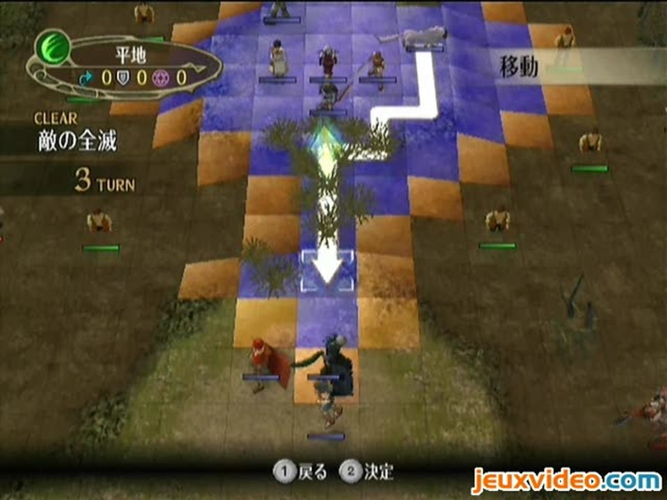 Fire Emblem : Radiant Dawn : Micahia