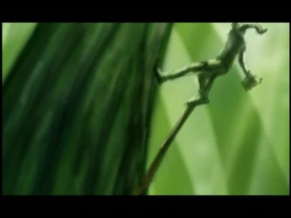 Les Enquêtes de Nancy Drew : La Créature de Kapu Cave : Bande-annonce