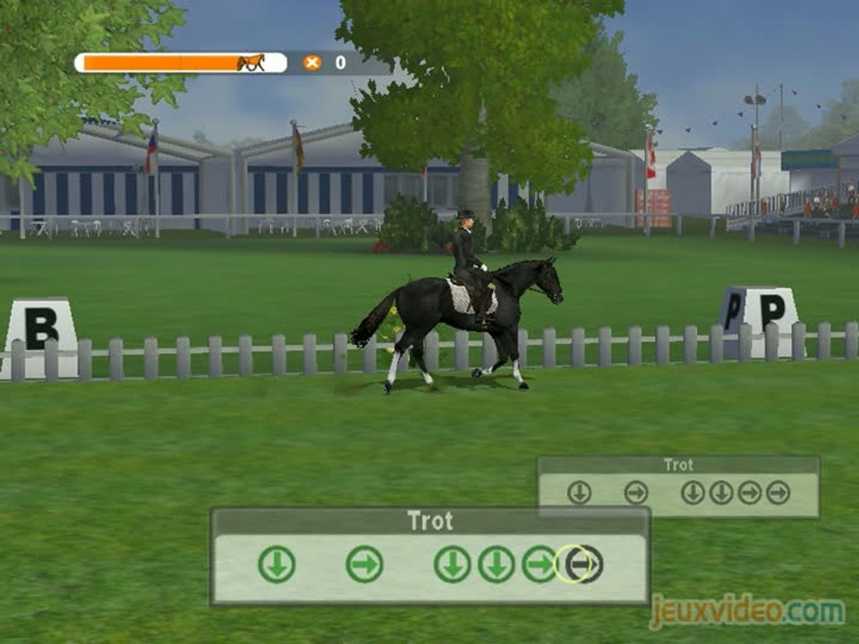 Le Challenge Equestre de Lucinda Green : Cheval Hero