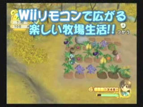 Harvest Moon : Magical Melody : Pub japonaise