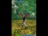 Ninja Gaiden Dragon Sword : Un dragon qui voit rouge