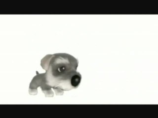 The Dog Island : Clip musical