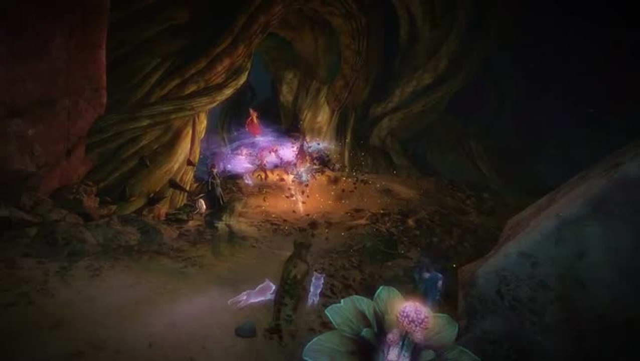 Guild Wars 2 : La voie des Ronces