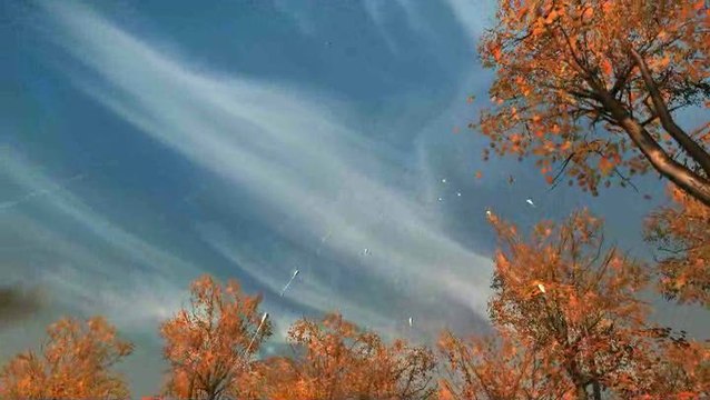 Guild Wars 2 : Tir de barrage