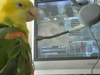 Tom Clancy's EndWar : Combat de perroquet