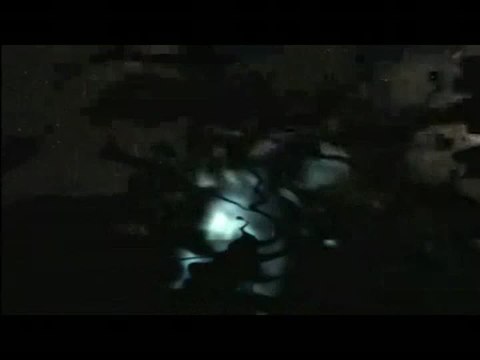 Condemned 2 : Bloodshot : Big Problem