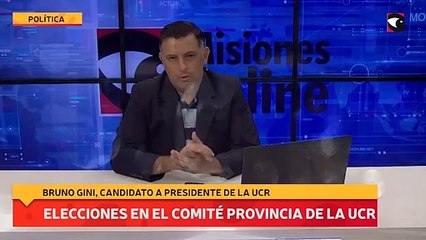 Elecciones en el comité provincia de la UCR