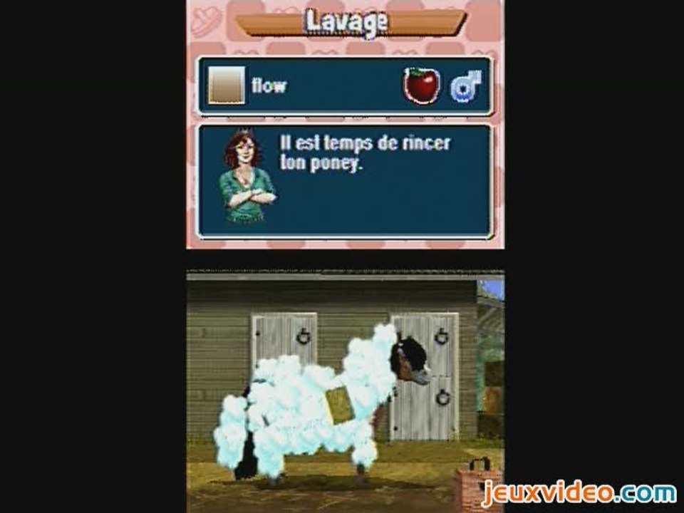 Pony Friends : Prenez soin de votre Poney !