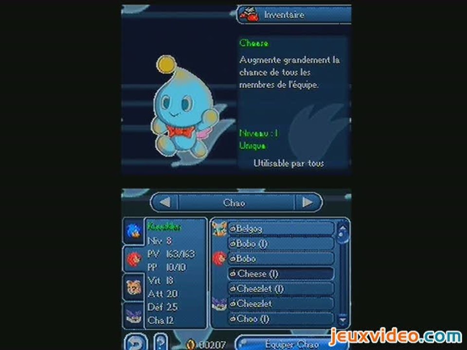 Sonic Chronicles : La Confrérie des Ténèbres : Seconde équipe