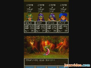Dragon Quest : L'Epopée des Elus :