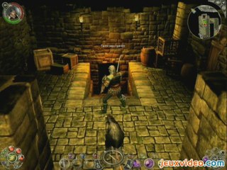 Sacred 2 : Fallen Angel : En intérieur