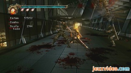 Ninja Gaiden II : Combat aérien