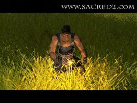 Sacred 2 : Fallen Angel : Combats dans la prairie