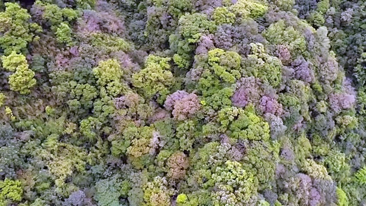 和碩前副總失聯第5天 最新空拍影像曝光