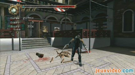 Ninja Gaiden II : Ca mouche rouge