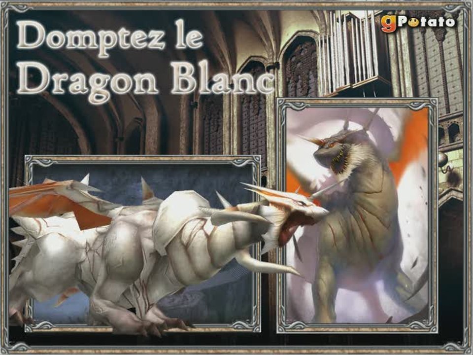 Rappelz : Cerbère et Dragon Blanc