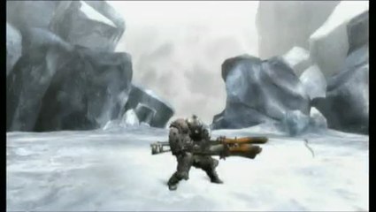 Monster Hunter 3 : Bowgun 2