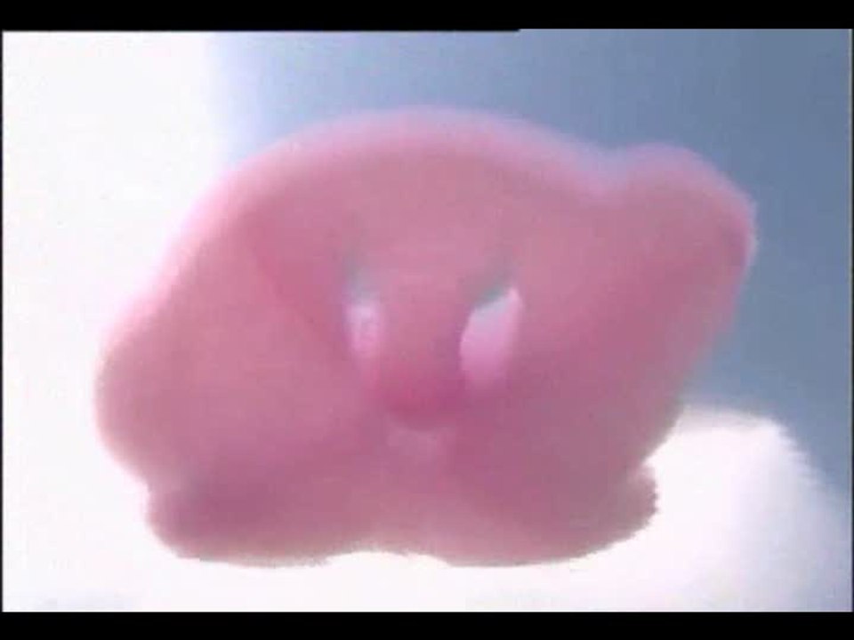 Kirby Super Star Ultra : Kirby existe