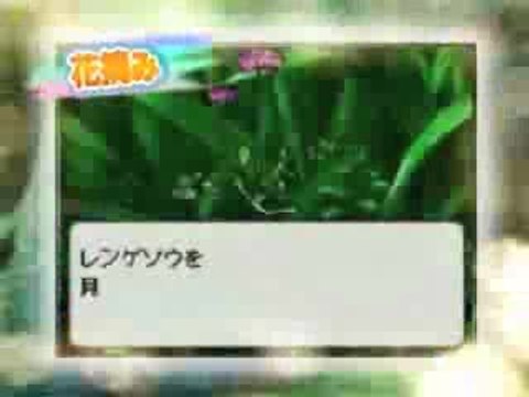 Harvest Fishing : Pub japonaise