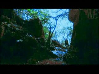 Flower Sun and Rain : Spot publicitaire